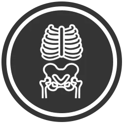 Chiropractic DeLand FL X Ray Icon