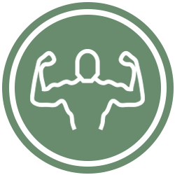 Muscle Icon