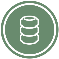 Spine Icon